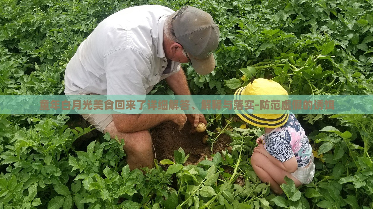 童年白月光美食回來了詳細(xì)解答、解釋與落實-防范虛假的誘餌