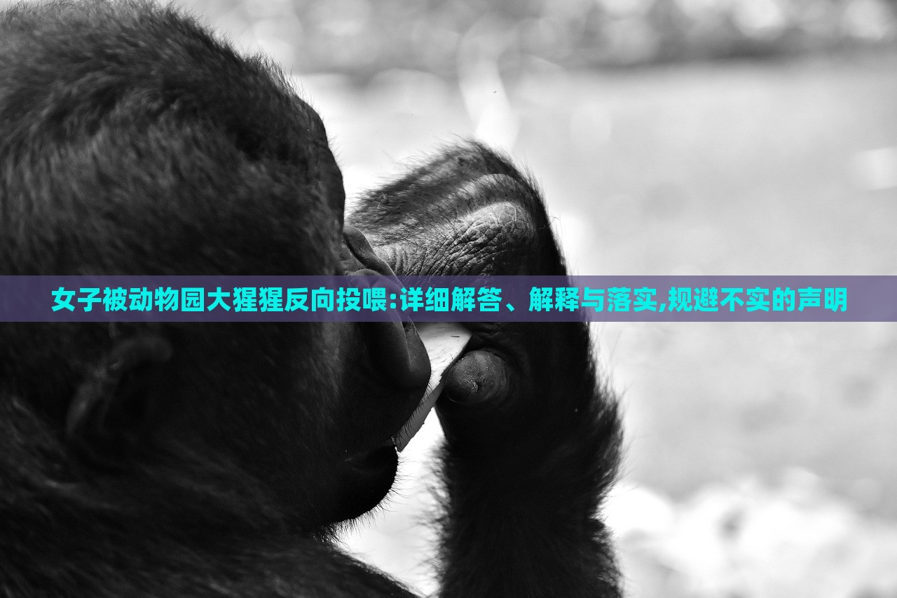 女子被動(dòng)物園大猩猩反向投喂:詳細(xì)解答、解釋與落實(shí),規(guī)避不實(shí)的聲明