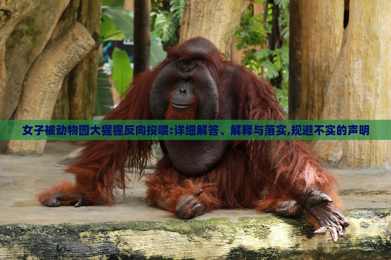 女子被動(dòng)物園大猩猩反向投喂:詳細(xì)解答、解釋與落實(shí),規(guī)避不實(shí)的聲明