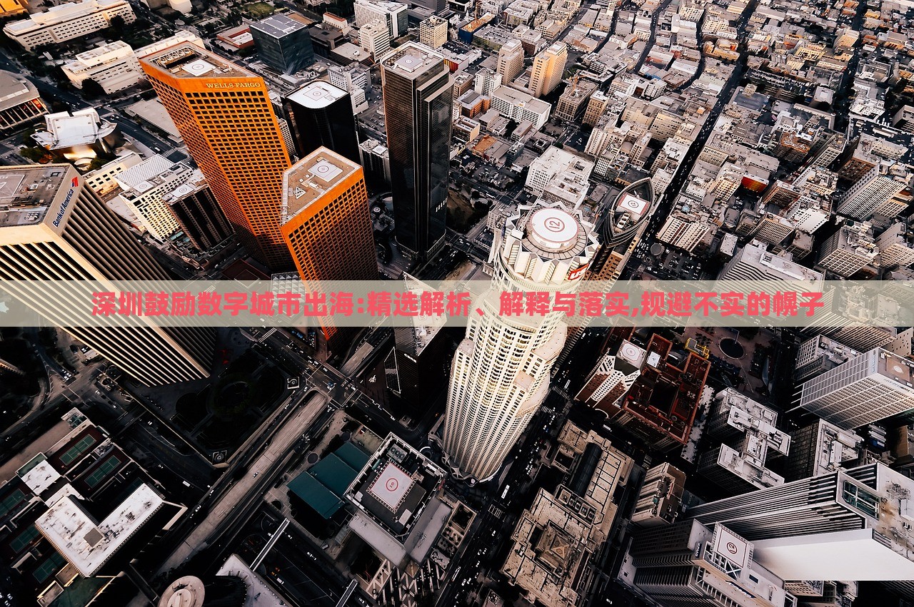 深圳鼓勵(lì)數(shù)字城市出海:精選解析、解釋與落實(shí),規(guī)避不實(shí)的幌子
