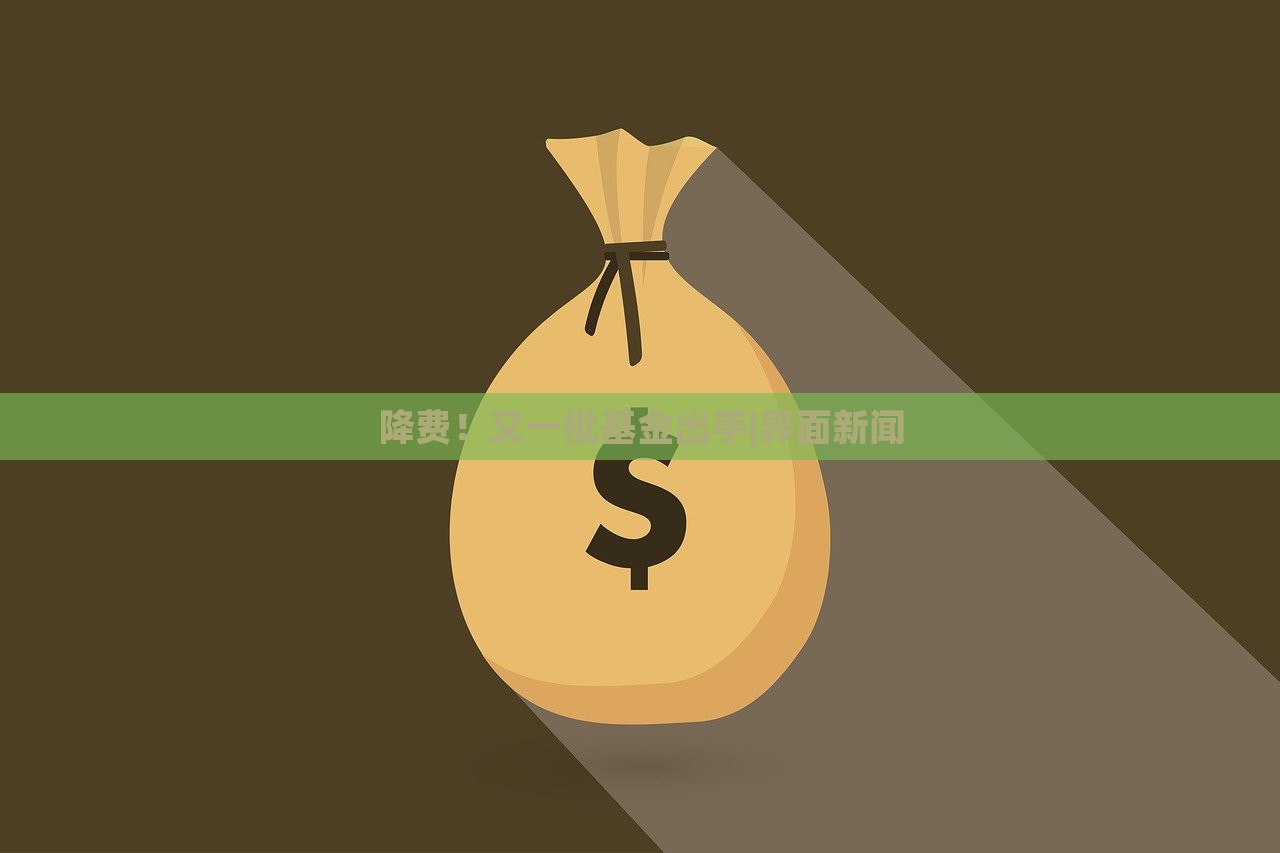 降費(fèi)！又一批基金出手|界面新聞