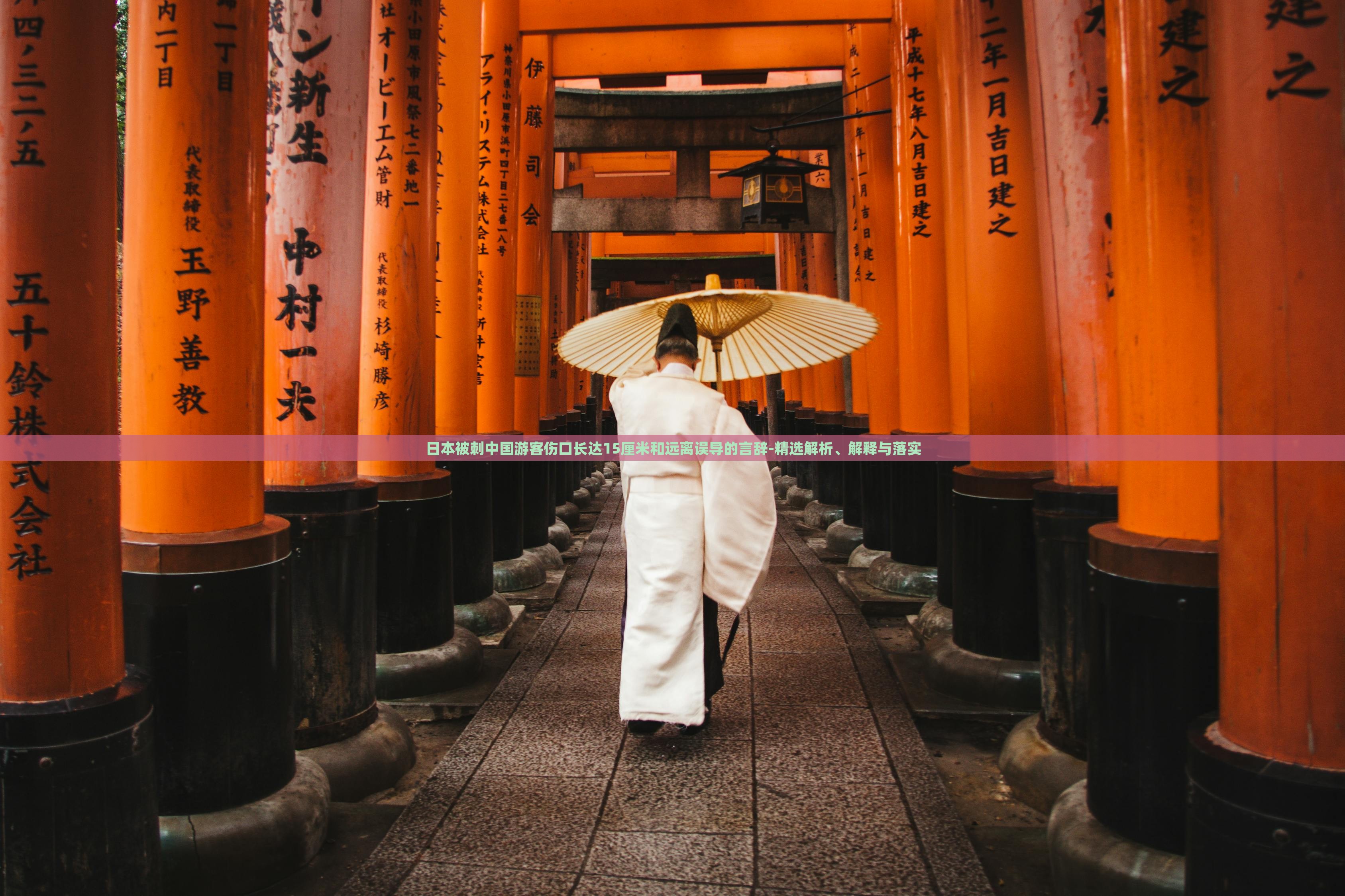 日本被刺中國游客傷口長達(dá)15厘米和遠(yuǎn)離誤導(dǎo)的言辭-精選解析、解釋與落實(shí)
